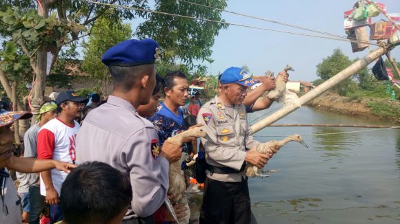 Tangkap Bebek Meriahkan Gebyar Kemerdekaan Festival Air Di Dukuh Karangsari Batang