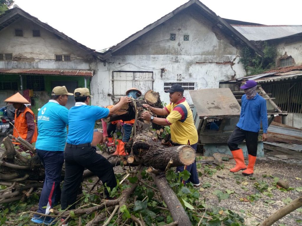 Polsek Semarang Utara Gotong Royong Membersihkan Pohon Tumbang