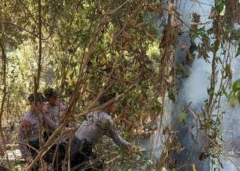 Bersama Petugas Gabungan, Polisi Berusaha Padamkan Kobaran Api di Hutan Pinus Kalijoyo Pekalongan