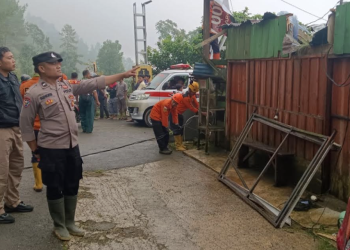 Bencana Alam Pohon Tumbang di Petungkriyono Timpa Rumah Warga dan Sekolah, Petugas Gabungan Gerak Cepat Lakukan Evakuasi