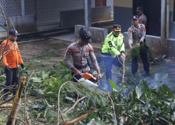 Kapolres Pekalongan Turun Tangan, Pimpin Langsung Evakuasi dan Pembersihan Pasca Bencana di Petungkriyono