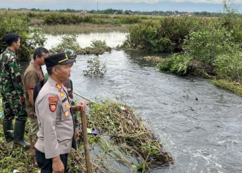 Polsek Sragi Gerak Cepat Tinjau Lokasi Tanggul Jebol di Desa Depok