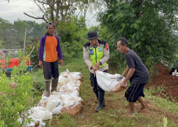 Polsek Wiradesa Pimpin Aksi Gotong Royong, Perkuat Tanggul Kritis Sungai di Wonokerto Bersama Warga